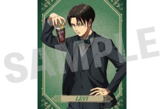 進撃の巨人 ビジュアルシート リヴァイ
 
2025年12月発売
で取扱中