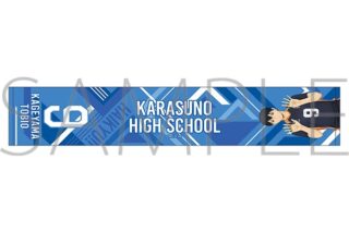 ハイキュー!! マフラータオル 影山飛雄 みんなの背番号!
 アニメイトで
2025年10月4日発売