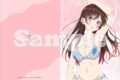彼女、お借りします (かのかり)第3期 【描き下ろし】クリアファイル水着Ver. 水原千鶴
 
2023年10月下旬発売
 アニメイトで取扱中
