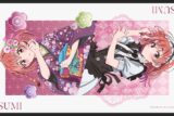 彼女、お借りします (かのかり)第3期 描き下ろしラバーマット 桜沢墨(着物&メイド服Ver.)
 
2024年03月発売