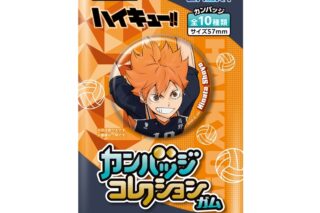 アニメハイキュー!! カンバッジコレクションガム
 アニメイトで
2025年11月発売