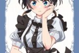 彼女、お借りします (かのかり)第3期 描き下ろしB2タペストリー 更科瑠夏(メイド服Ver.)
 
2024年03月発売