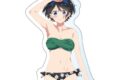 彼女、お借りします (かのかり)第2期 【描き下ろし】BIGアクリルキーホルダー(水着Ver.)更科瑠夏
 
2023年10月下旬発売
 アニメイトで取扱中