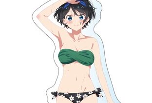 彼女、お借りします (かのかり)第2期 【描き下ろし】BIGアクリルキーホルダー(水着Ver.)更科瑠夏
 
2023年10月下旬発売
 アニメイトで取扱中