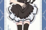 彼女、お借りします (かのかり)第3期 描き下ろしBIGタペストリー 更科瑠夏(メイド服Ver.)
 
2024年03月発売