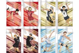 アニメハイキュー!! トレーディング箔押しカード animate cafe 2025 ver. Bグループ[アニメイトカフェコラボ]
 
2025年10月中旬発売