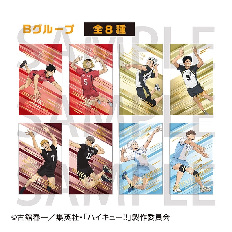 アニメハイキュー!! トレーディング箔押しカード animate cafe 2025 ver. Bグループ[アニメイトカフェコラボ]
 
2025年10月中旬発売