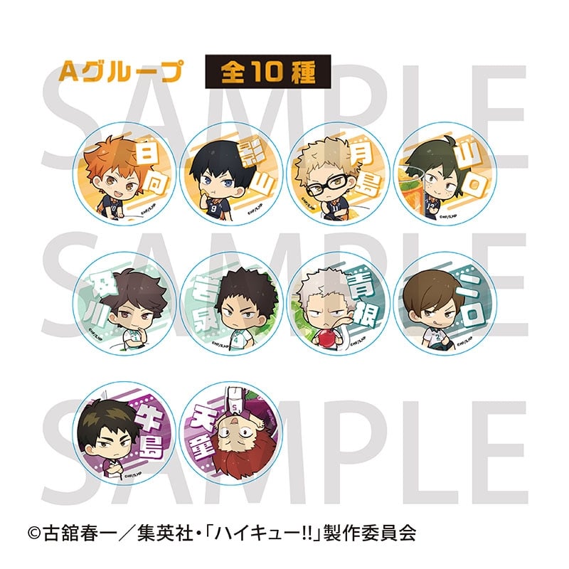 アニメハイキュー!! トレーディングアクリルバッジ animate cafe 2025 ver. Aグループ[アニメイトカフェコラボ]
 
2025年10月中旬発売