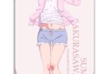 彼女、お借りします (かのかり)第2期 【描き下ろし】BIGタペストリー(部屋着Ver.)桜沢墨
 
2023年10月下旬発売
 アニメイトで取扱中