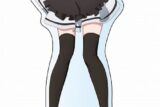 彼女、お借りします (かのかり)第3期 描き下ろしBIGアクリルスタンド 水原千鶴(メイド服)
 
2024年03月発売