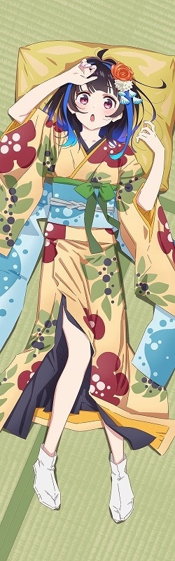 彼女、お借りします (かのかり)第3期 描き下ろし抱き枕カバー 八重森みに(着物&メイド服Ver.)
 
2024年03月発売
