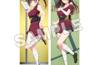 TV彼女、お借りします (かのかり) 描き下ろし抱き枕カバー/水原千鶴(舞台)
 
2023年10月発売
 アニメイトで取扱中