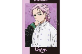 TVアニメ『ウィンドブレイカー (ウィンブレ)』 桐生 三輝 カードステッカー
 
2025年11月27日発売