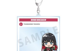 TVアニメ『ウィンドブレイカー (ウィンブレ)』 椿野 佑 ちびキャラ BIGアクリルキーホルダー
 
2025年11月27日発売