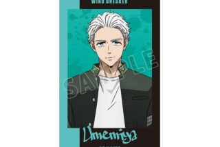 TVアニメ『ウィンドブレイカー (ウィンブレ)』 梅宮 一 カードステッカー
 
2025年11月27日発売