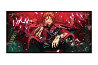 あんさんぶるスターズ!! (あんスタ) ビジュアルバスタオル vol.6 50.三毛縞斑
 
2026年01月発売