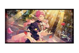 あんさんぶるスターズ!! (あんスタ) ビジュアルバスタオル vol.5 22.斎宮宗
 
2025年12月発売