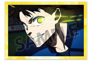 ブルーロック A6ビジュアルアクリルプレート vol.3 蜂楽 廻
 
2025年08月発売
で取扱中