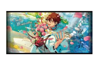あんさんぶるスターズ!! (あんスタ) ビジュアルバスタオル vol.5 12.守沢千秋
 
2025年12月発売
