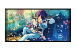 あんさんぶるスターズ!! (あんスタ) ビジュアルバスタオル vol.5 11.仙石忍
 
2025年12月発売