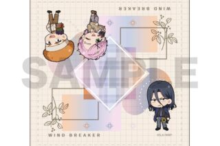 ウィンドブレイカー (ウィンブレ) Season2 ミニタオル / 杉下&桐生&柘浦
 
2025年10月発売