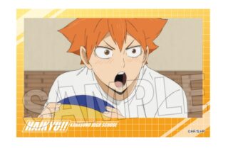 ハイキュー!! 積み積みブロック vol.7　2
 アニメイトで
2025年07月発売