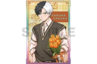 ウィンドブレイカー (ウィンブレ) Season2 ホロステッカー / 桜 遥
 
2025年10月発売