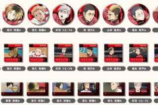 劇場版ハイキュー!! ゴミ捨て場の決戦 あれこれぷちCANバッジ Vol.5 音駒高校BOX
 
2025年10月発売
で取扱中
