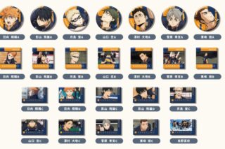 劇場版ハイキュー!! ゴミ捨て場の決戦 あれこれぷちCANバッジ Vol.4 烏野高校BOX
 
2025年10月発売