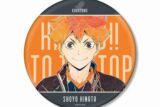 ハイキュー!! 日向翔陽 Ani-Art 第5弾 BIG缶バッジ【再販】
 アニメイトで
2025年6月17日発売