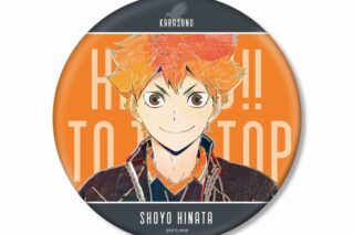 ハイキュー!! 日向翔陽 Ani-Art 第5弾 BIG缶バッジ【再販】
 アニメイトで
2025年6月17日発売