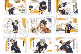 ハイキュー!! ミニ名言アクリルブロックコレクション/烏野高校
 アニメイトで
2025年5月30日発売