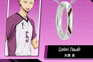 ハイキュー!! リングネックレス 白鳥沢学園高校 シルバー 天童 覚
 アニメイトで
2025年08月下旬発売