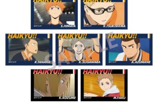 ハイキュー!! トレーディングスクエア缶バッジVOL.3【再販】
 アニメイトで
2025年02月発売
