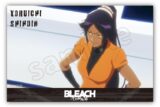 BLEACH アクリルブロック　四楓院　夜一 アニメイトで
2025年05月 下旬 発売