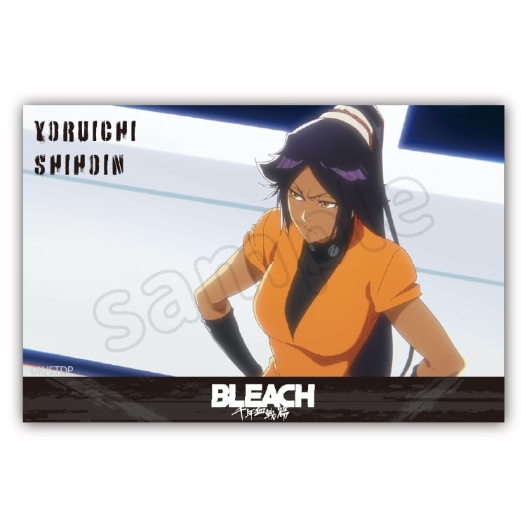 BLEACH アクリルブロック　四楓院　夜一 アニメイトで
2025年05月 下旬 発売