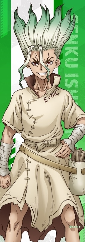 Dr.STONE ミニタペストリー　石神千空
 アニメイトで
2025年04月発売