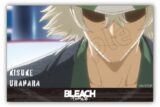 BLEACH アクリルブロック　浦原　喜助 アニメイトで
2025年05月 下旬 発売