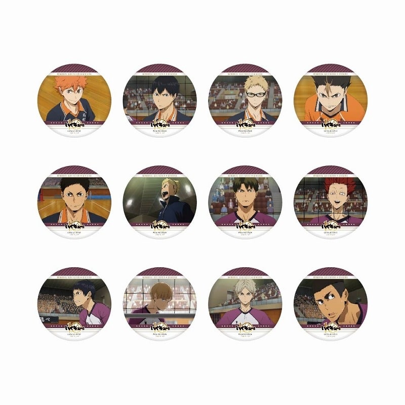 ハイキュー!! トレーディング缶バッジ メモリアルコレクション SEASON.3【全12種】
 アニメイトで
2024年9月20日発売