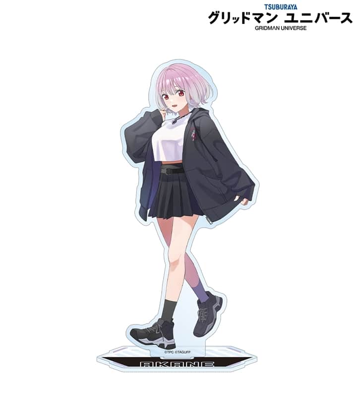 グリッドマン ユニバース arti-mate BIGアクリルスタンド 新条アカネ 描き下ろし サブカルファッションver.[アニメイト限定]
 
2025/12/27 発売