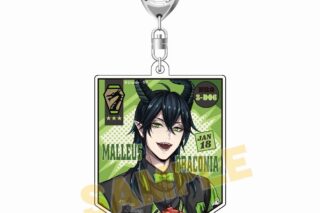 ツイステ ユニオンバースデー キーホルダー/マレウス・ドラコニア
 アニメイトで
2025/03/21 発売