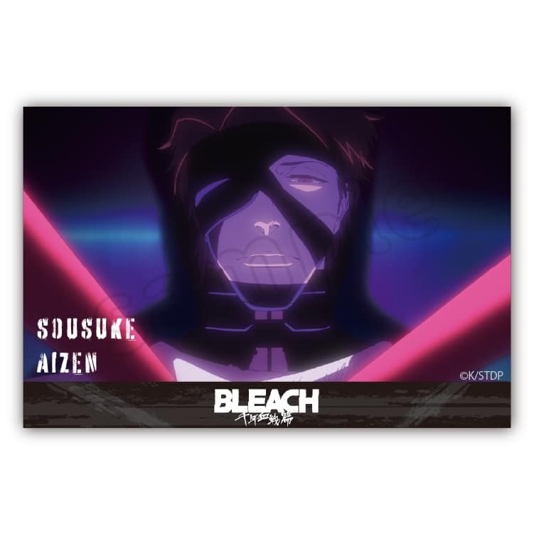 BLEACH アクリルブロック　藍染　惣右介 アニメイトで
2025年05月 下旬 発売