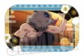 テレビアニメ「鬼滅の刃無限列車編 メモリーズスクエア缶バッジ 嘴平 伊之助【再販】
 アニメイトで
2025年05月下旬発売