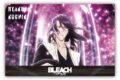 BLEACH アクリルブロック　朽木　白哉 アニメイトで
2025年05月 下旬 発売