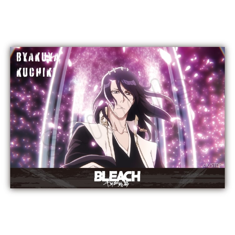 BLEACH アクリルブロック　朽木　白哉 アニメイトで
2025年05月 下旬 発売