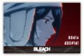 BLEACH アクリルブロック　朽木　ルキア
 
2025年05月下旬発売
で取扱中