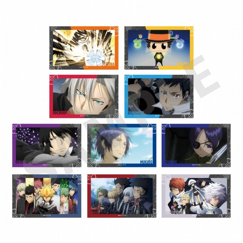 「家庭教師ヒットマンREBORN!」 ～favorite series～ トレーディングカード(全10種)
 アニメイトで
2025年01月発売