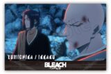 BLEACH アクリルブロック　斑目　一角&綾瀬川　弓親 アニメイトで
2025年05月 下旬 発売