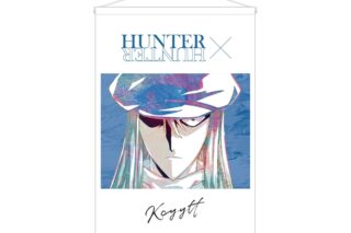 ハンターハンター カイト Ani-Art 第3弾 B2タペストリー
 アニメイトで
2025/11/27 発売