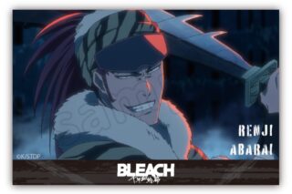 BLEACH アクリルブロック　阿散井　恋次 アニメイトで
2025年05月 下旬 発売